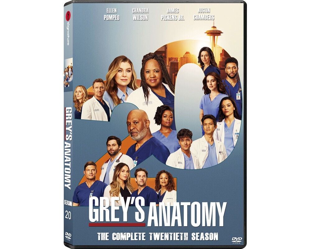 Chandra Wilson Stream Greys Anatomy Season 15 Episode Grey's