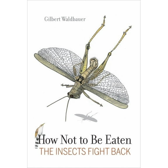 How Not to Be Eaten: The Insects Fight Back, (Paperback)