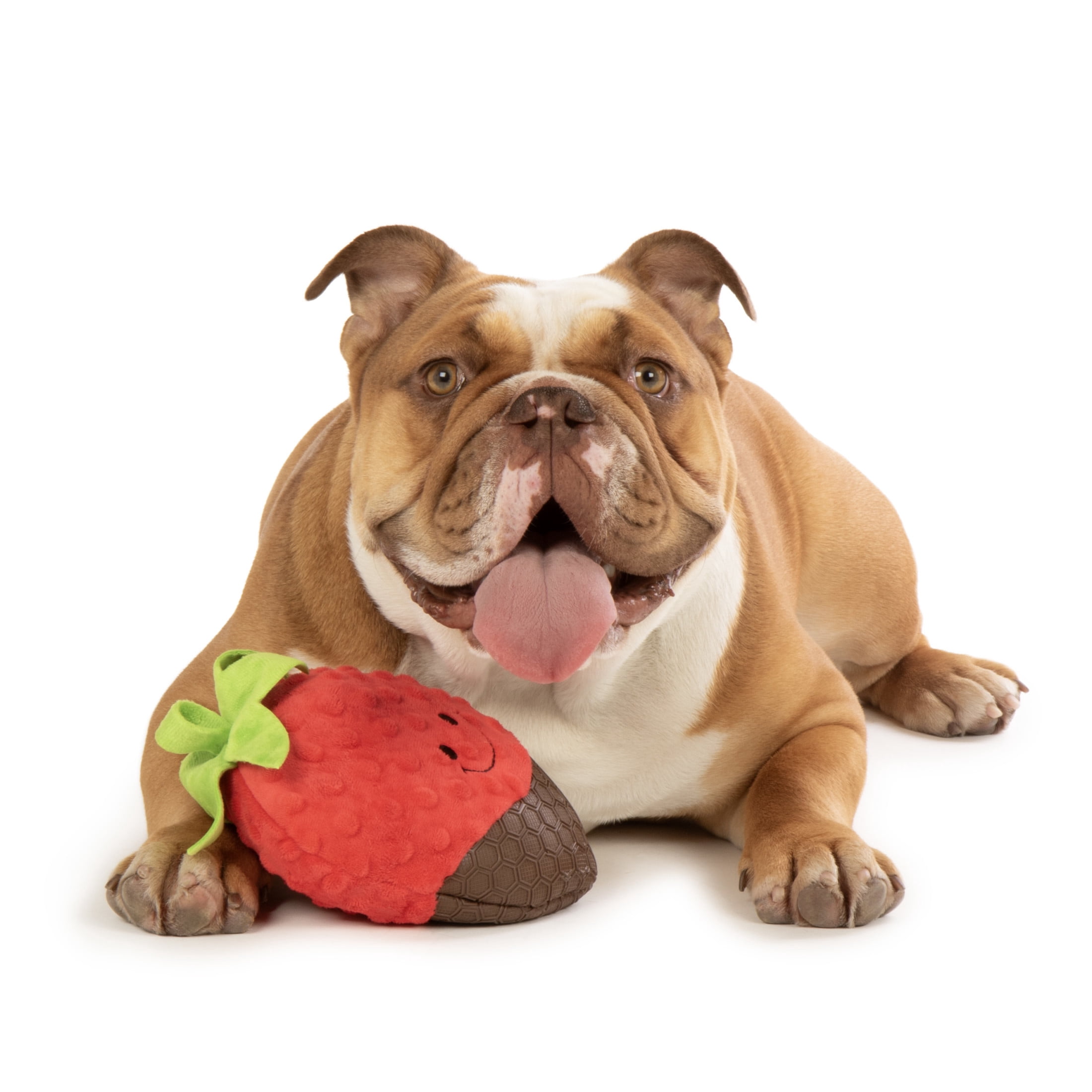 TrustyPup Tough 'N Fun Cocoa Berry Squeaky TPR & Plush Durable Dog Toy, Red Large