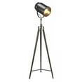 thumbnail image 1 of L2 Lighting DC5555LL1065 Lampe de Sol pour Photographe Taylor 60 Po, 1 of 2