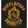 thumbnail image 2 of Harry Potter Hufflepuff Quidditch Crest Long Sleeve Unisex Adult Hooded Sweatshirt-XXL, 2 of 3