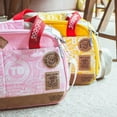 thumbnail image 2 of Touchdog Airline Approved Around-The-Globe Passport Designer Pet Carrier, 2 of 6
