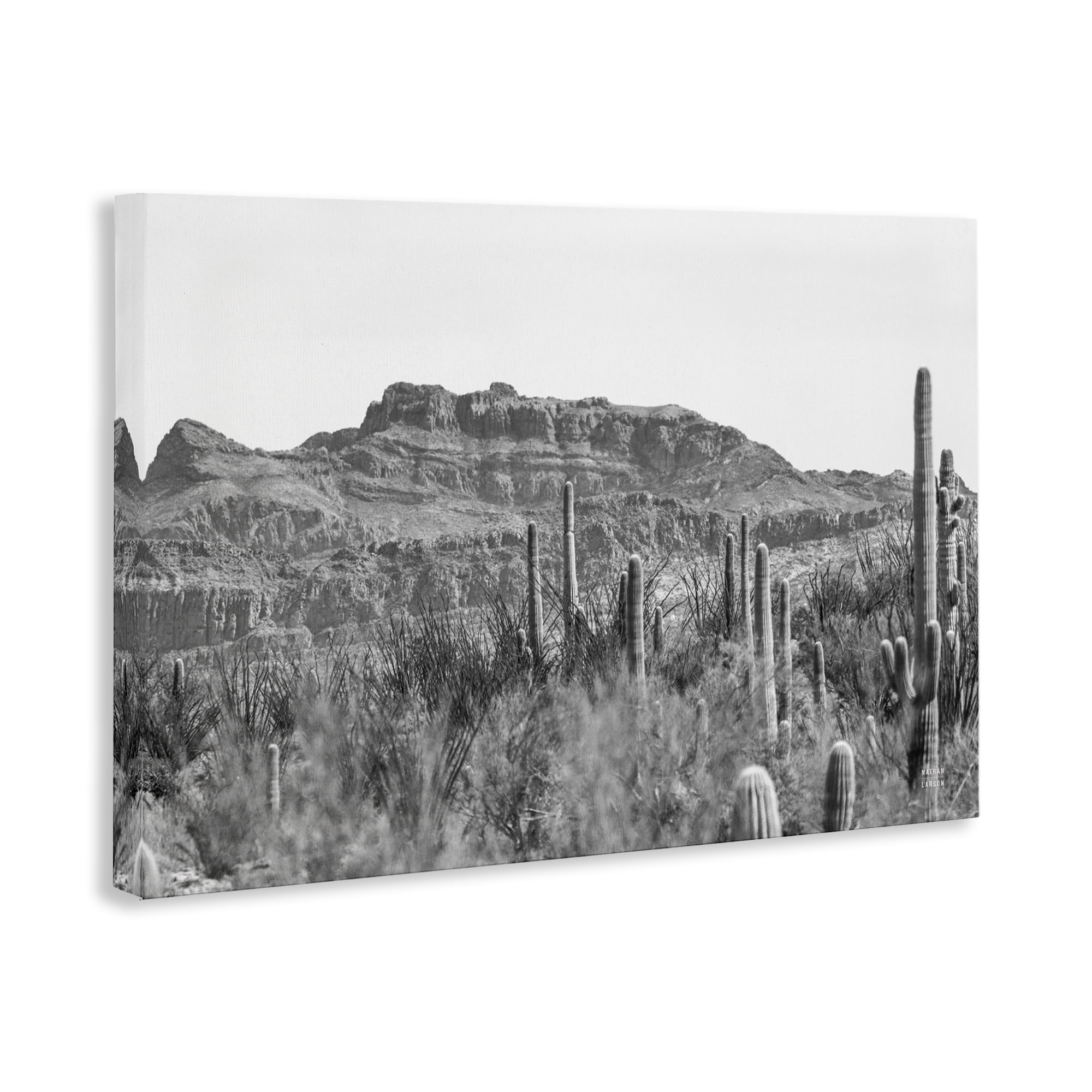 Stupell Industries American Borderlands Desertscape Landscape & Nature Photography Wrapped Canvas Art Print Wall Art, 36 x 24