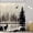 Black Woods, variant on Misty Shower Curtain 72Wx72H Inch Foggy Snow Mountain Scenery National Park Smokey Tree Woodland Landscape Black Gray for Men Bathroom Decor Fabric Polyester Waterproof 12 Pack Hooks