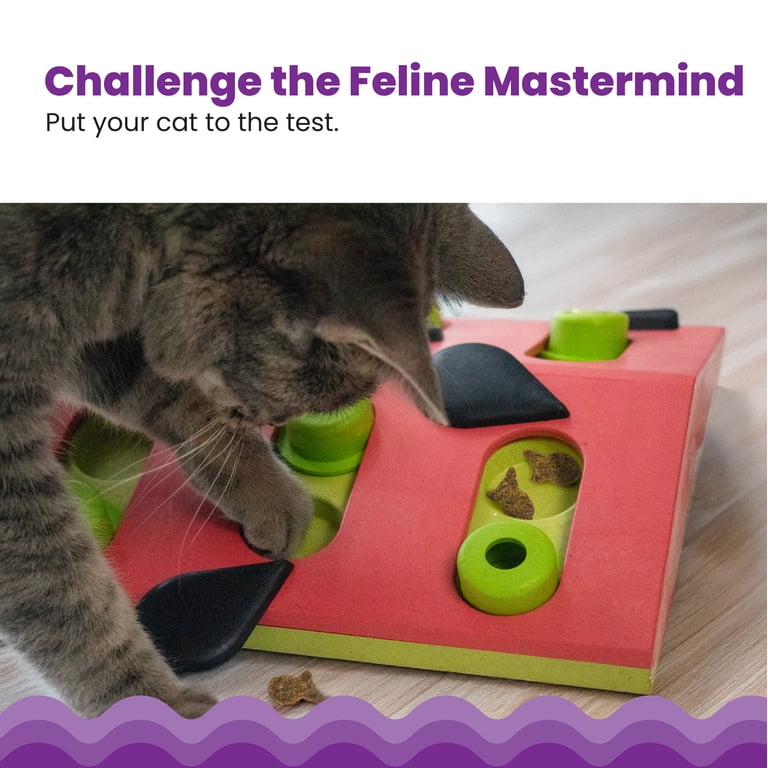 Petstages, Catstages Melon Madness Puzzle & Play, Pink