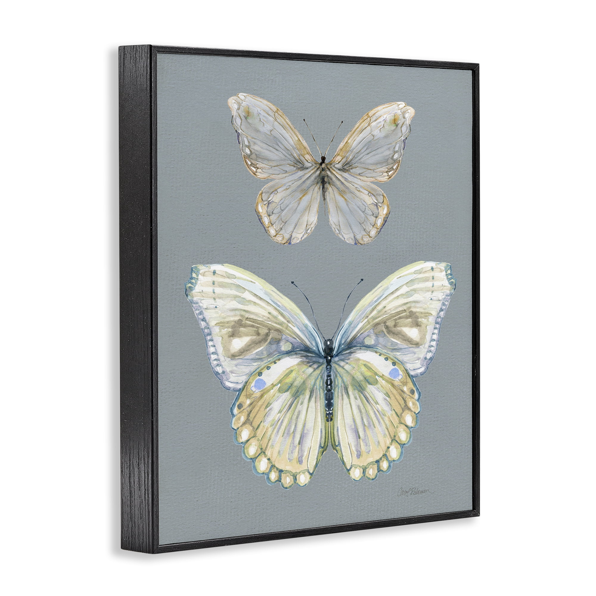 Stupell Industries Butterfly Pair Study Black Framed Giclee Art, design by Carol Robinson