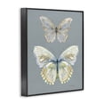 thumbnail image 2 of Stupell Industries Traditional Butterfly Pair Study Black Framed Giclee Art, 11 x 14, by Carol Robinson, 2 of 8