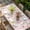 Pink, variant on Pink Spring Floral Table Cloths for 6 Foot Rectangle Tables, Flowers Botanical Elegant Pastoral Patio Waterproof Elastic Fitted Tablecloths, Washable Rectangular Table Cover for Camping
