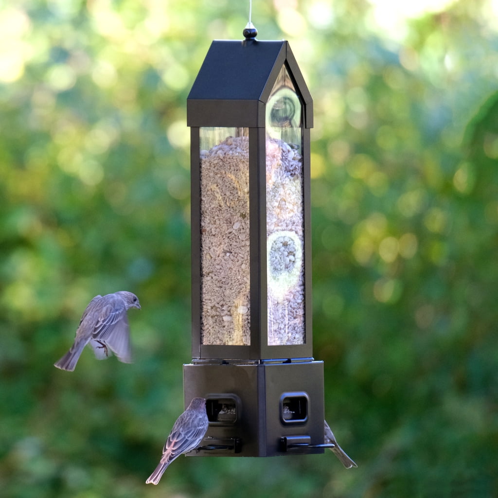 Squirrel Shield Metal Squirrel Proof Choice Lantern Feeder 3.1QT, Black