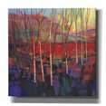 thumbnail image 1 of Epic Graffiti 'Patchwork Trees II' by Tim O'Toole, Canvas Wall Art, 12"x12", 1 of 2