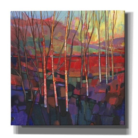 Epic Graffiti 'Patchwork Trees II' by Tim O'Toole, Canvas Wall Art, 12"x12"