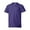 Purple, variant on Hanes Youth EcoSmart Short Sleeve Tee (Little Boys & Big Boys)