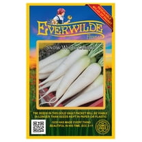 Everwilde Farms - 1000 Snow White Carrot Seeds - Gold Vault Jumbo Bulk Seed Packet