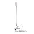 thumbnail image 2 of Grow Light Flexible Desk Clip Holder Indoor Plants Flowers Lamp US Plug, 2 of 4