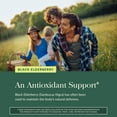 thumbnail image 6 of Gaia Herbs Black Elderberry (Sambucus nigra) Extra Strength Gummies - Delicious Immune Support Supplement* - Certified Organic Black Elderberries for Immune System Support* - 40 Gummies (20 Servings), 6 of 10