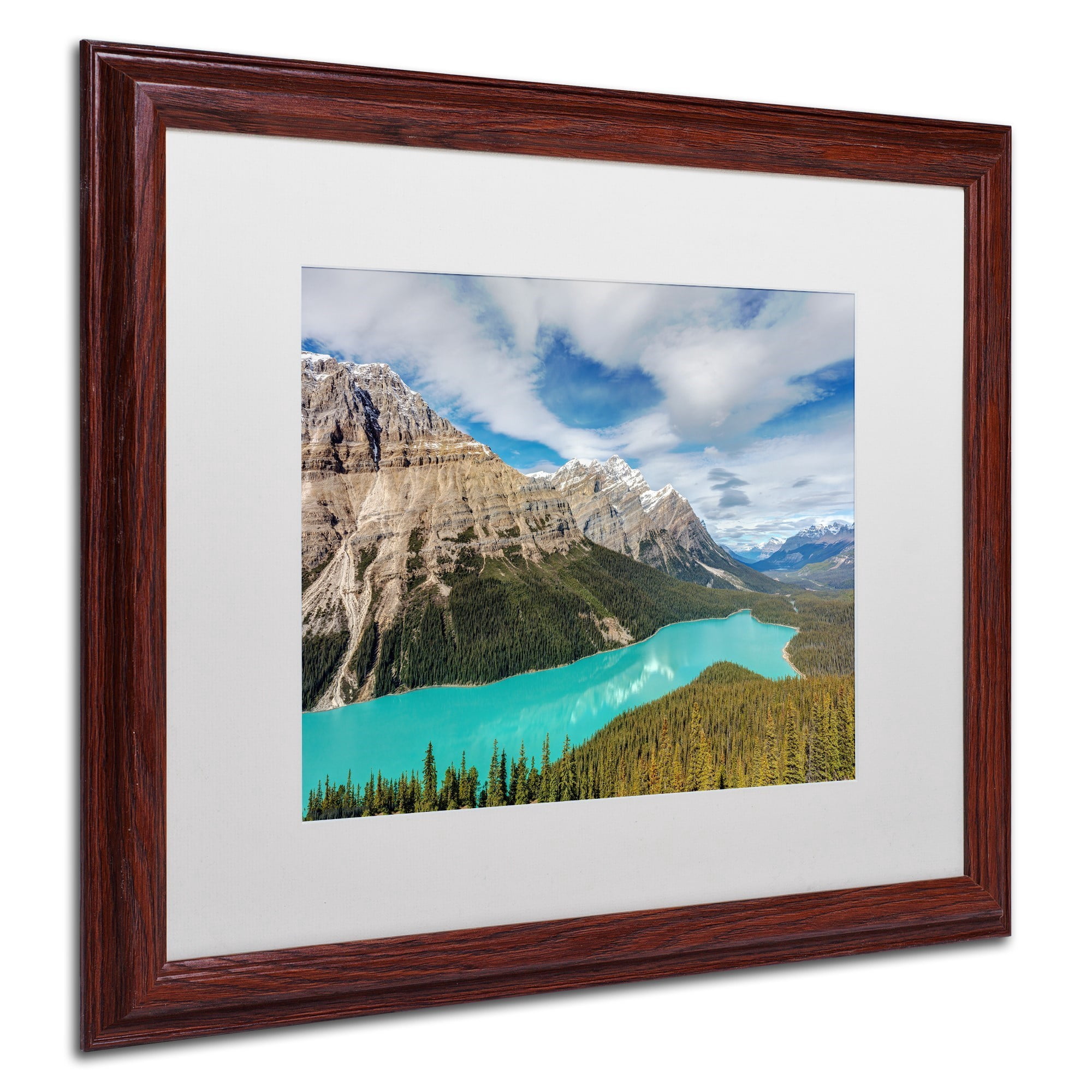 Trademark Fine Art 'Peyto Lake' Canvas Art by Pierre Leclerc, White Matte, Wood Frame