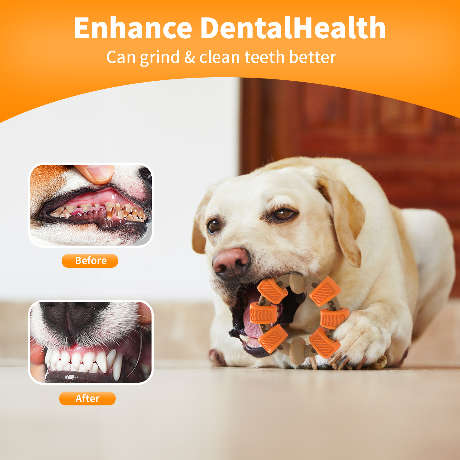 Charkool Indestructible Dog Chew Toy, Flavor Medley photo 4