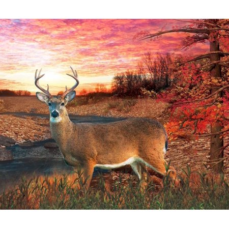 deer in autumn setting