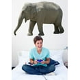 thumbnail image 2 of Wallhogs Elephant IV Cutout Wall Decal, 2 of 2