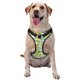 thumbnail image 1 of Balery Lemon Arnés para Perros Grandes Antitirones, Arnés con Correa para Gato, Arnés Tipo Chaleco para Perros Pequeños-Large, 1 of 6