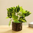 thumbnail image 2 of Fake Plant Plant Realistic: Wooden Pot Artificial Plant Desktop Plant Decoration, 2 of 2