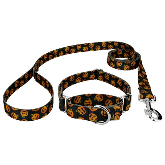 Country Brook Petz® Happy Jack Martingale Dog Collar and Leash, 2XS
