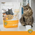 thumbnail image 5 of Dr. Elsey's cleanprotein Grain-Free Turkey Flavor Dry Cat Food for All Life Stages 2 lb. Bag, 5 of 8