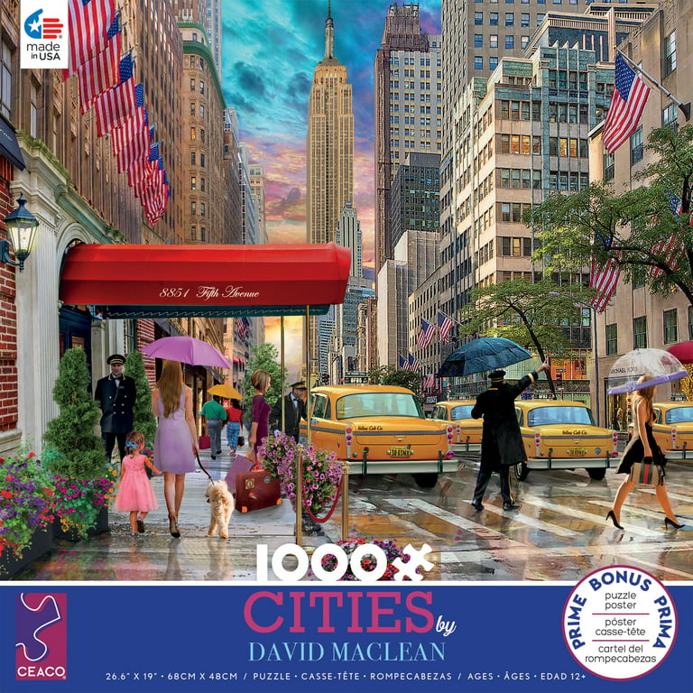 Ceaco - David Maclean Cities - Bonjour Paris - 1000 Piece Interlocking  Jigsaw Puzzle 
