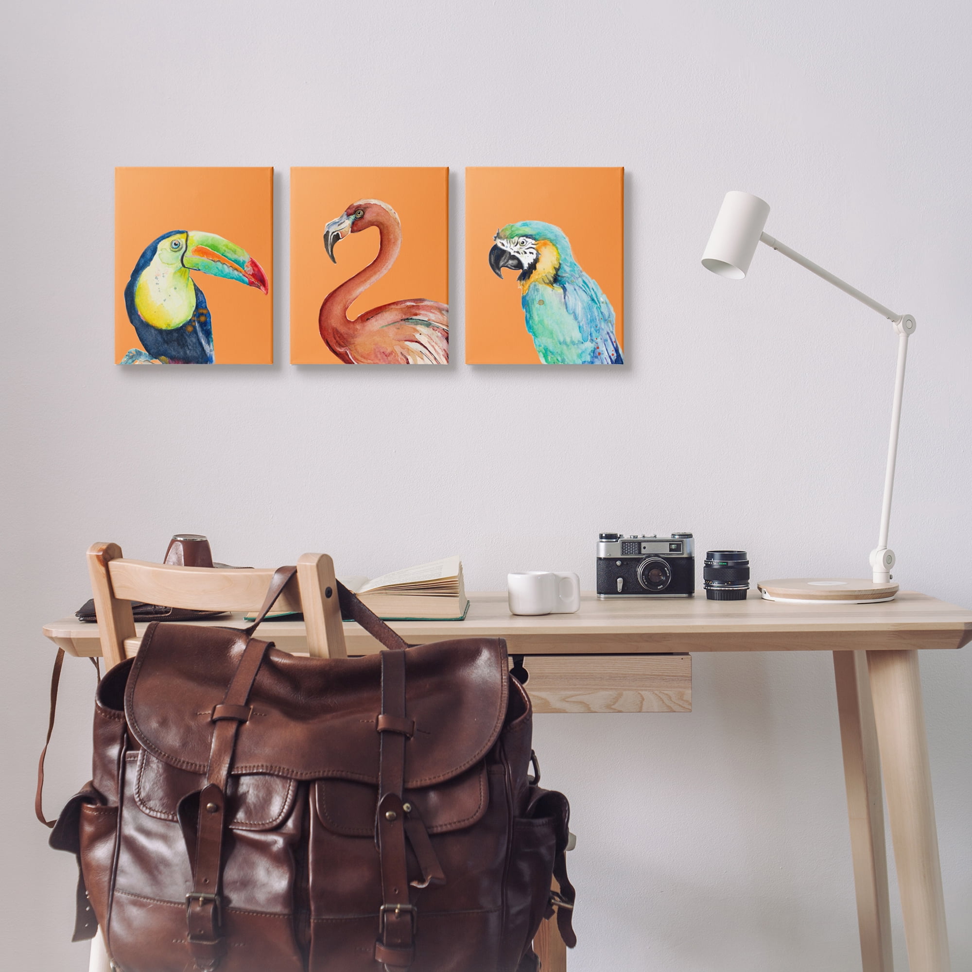 Stupell Industries Bold Tropical Birds Rainforest Animals Toucan Parrot Graphic Art Gallery Wrapped Canvas Print Wall Art, Set of 3, Design by Patricia Pinto