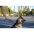 thumbnail image 4 of Colliers Doux Toucher Cuir Tressé Chien Laisse Poignée de Circulation, 4 of 5