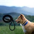 thumbnail image 3 of Pet Dog Leash Rope Nylon Adjustable Training Pet Dog, 3 of 5