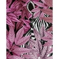 thumbnail image 3 of Fab Funky 12x14 Black Modern Framed Museum Art Print Titled - Zebra in Pink Leaves, 3 of 5