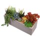 thumbnail image 2 of Simulación de decoración del hogar con plantas verdes Simulación de decoración con plantas en macetas, 2 of 7