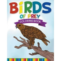 Birds Of Prey Coloring Book (Paperback)