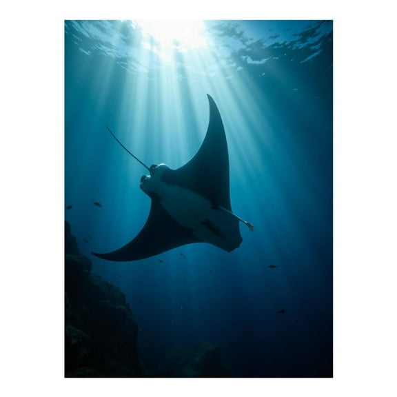 Diamond Art Kits for Adults - 5d Underwater Manta Ray Sunbeams Ocean Diamond Painting for Adults, Diamond Art for Adults Beginners, Diamond Painting Kits for Adults for Home Wall Decor