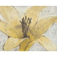 thumbnail image 2 of OToole, Tim 18x15 White Modern Wood Framed Museum Art Print Titled - Transparency Flower I, 2 of 4