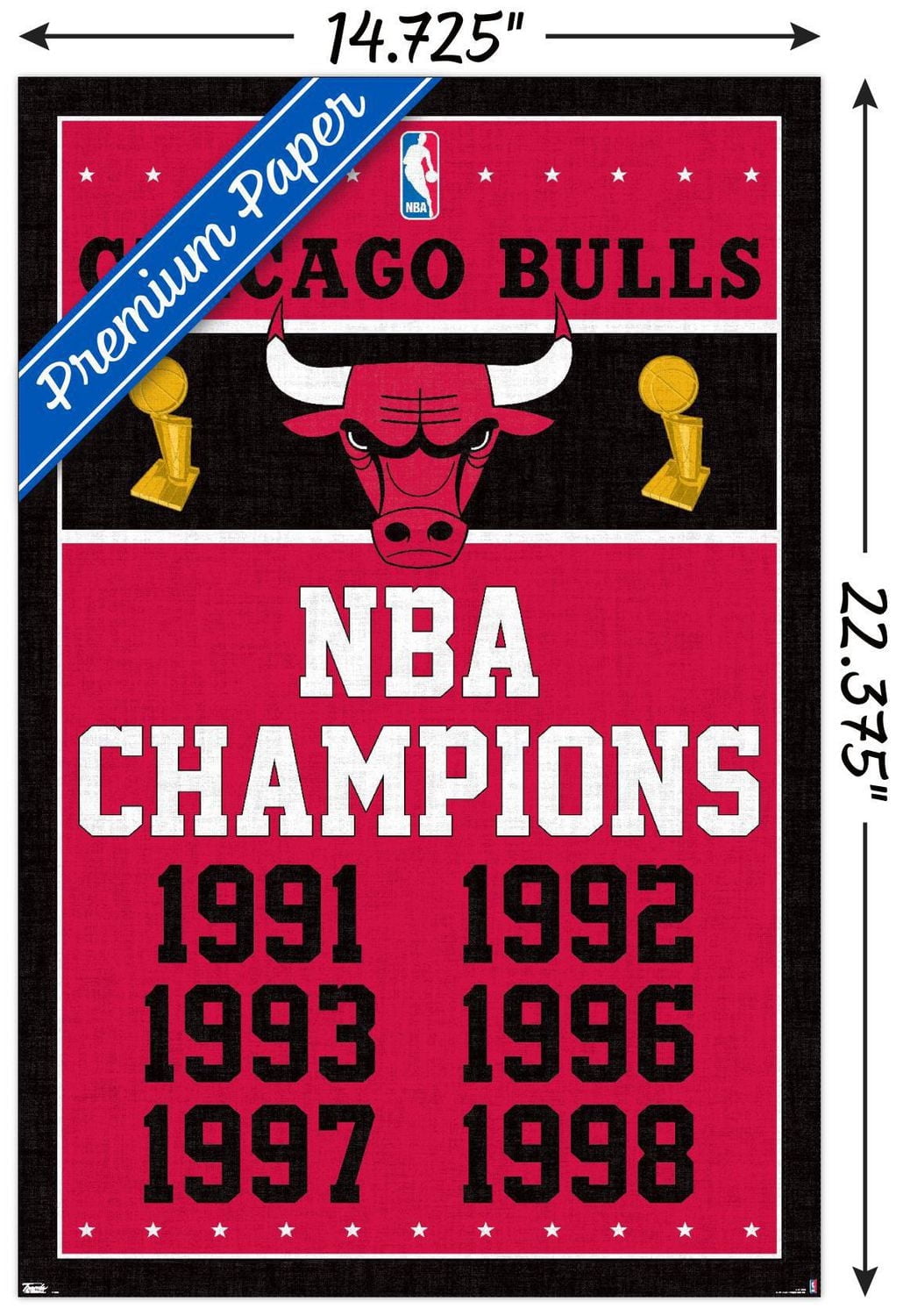 NBA Chicago Bulls - Champions 13