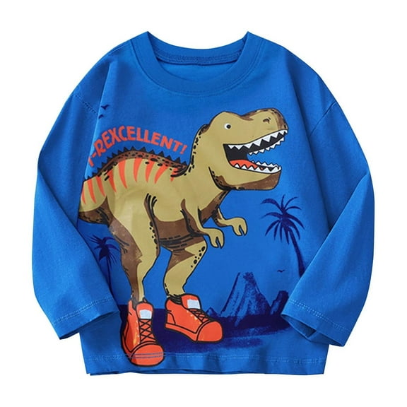 Cethrio Long Sleeve Tops for Boys 2025, Graphic Casual Pullover Cotton Spring Fall Blouses Blue Size 3-9 T