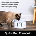 thumbnail image 4 of Geeni PetConnect Smart Fountain, 2.5 Liter Automatic Pet Water Dispenser for Cats & Dogs, 4 of 8