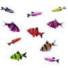 GloFish® 10G Active Tiger Barb-Danio 10ct Live Fish Assortment