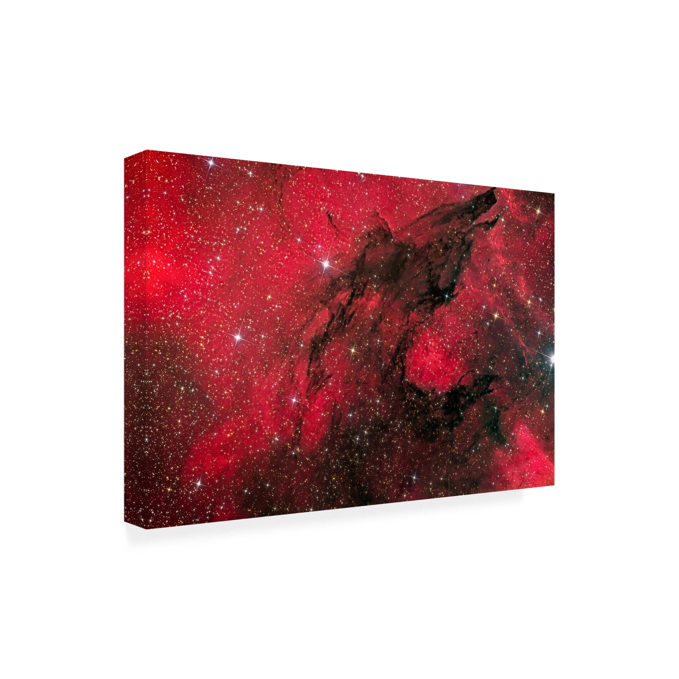 Trademark Fine Art Vikas Chander Hungry like the Wolf Canvas Wall Art