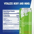 thumbnail image 3 of Red Bull Green Edition Energy Drink, Curuba Elderflower, 12 fl. oz. Can,  114mg Caffeine, 3 of 17