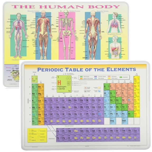 Painless Learning Educational Placemats Sets Human Body and Periodic Table Placemat Non Slip Washable