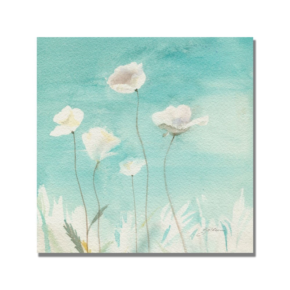 Trademark Art "White Poppies" Canvas Art by Shelia Golden