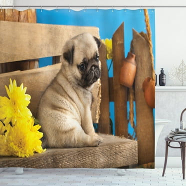 Ambesonne Pug Shower Curtain, Puppy Photography on Bench, 69"Wx70"L, Pale Brown Yellow Blue