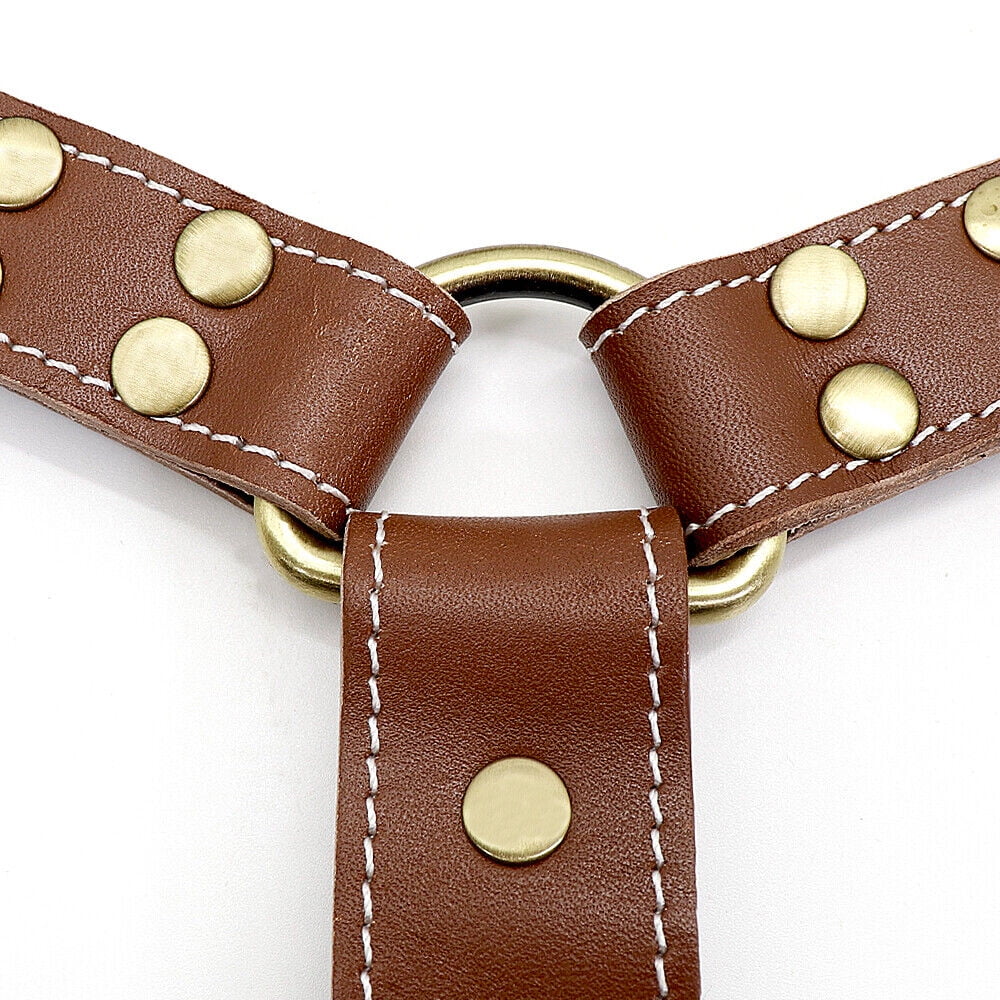 Didog Genuine Leather Dog Harness Strong Pulling Sledding Vest for Training Heavy Duty
