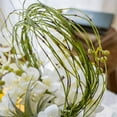 thumbnail image 5 of Artificial Rough Horsetail Thin Vine Ikebana, 5 of 10