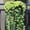 Green, variant on 33" Artificial Silk Orchid Bouquet Pick, , Artificial Orchid Flowers Stems, 1pcs Faux Silk Flower for Wedding/Home Decor/Indoor,Outdoor Hanging Decoration