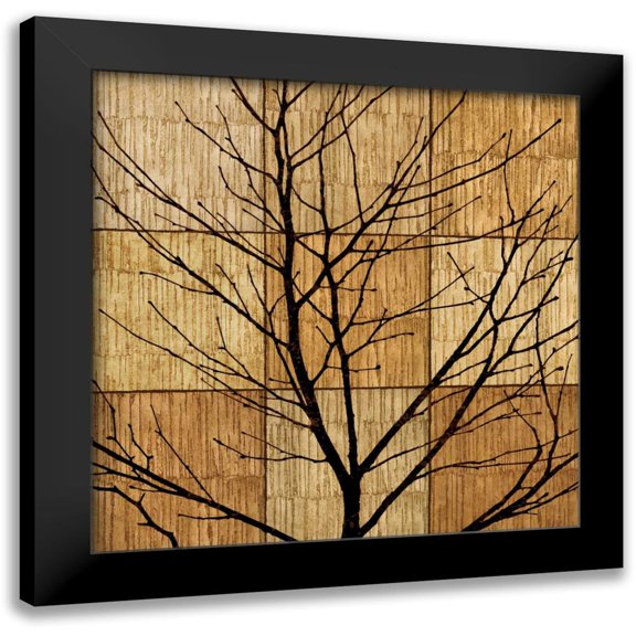 Donovan, Chris 12x12 Black Modern Framed Museum Art Print Titled - Tree Silhouette II