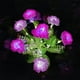 thumbnail image 4 of Fiudx Ofertas flash del día Luces solares de flores para exteriores, luces solares decorativas para jardín, luces LED de estaca, encendido/apagado automático, brillantes hasta 8 horas, 4 of 6